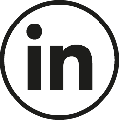 icon-in